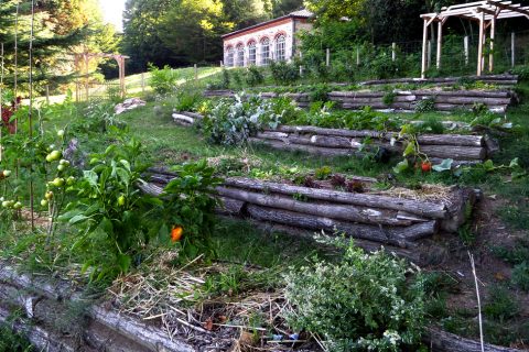 Laisser la nature travailler pour vous !